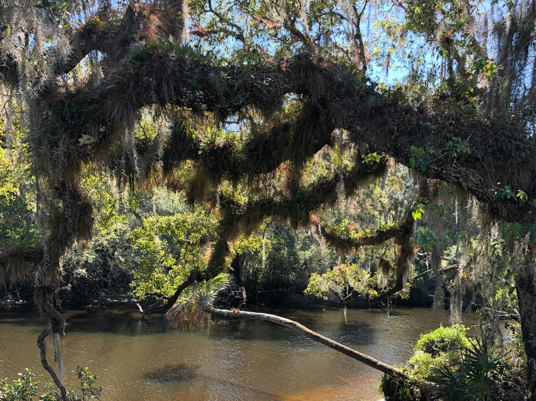 Sleeping Turtles Preserve North-威尼斯必去景点