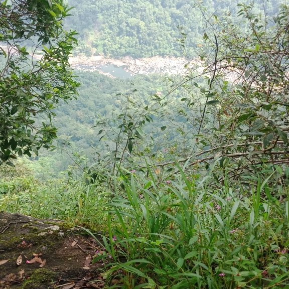 Meenuliyan Para-伊杜基必去景点