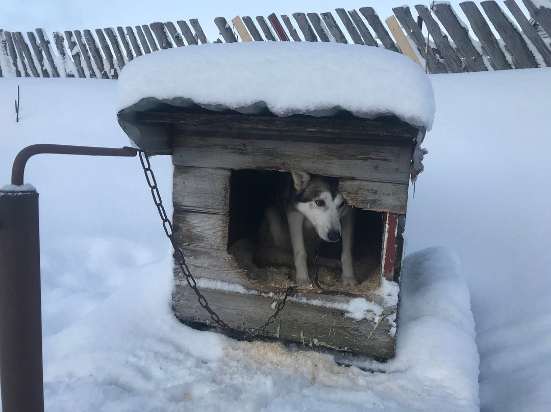 Sortland Villmarkssenter-Sortland必去景点