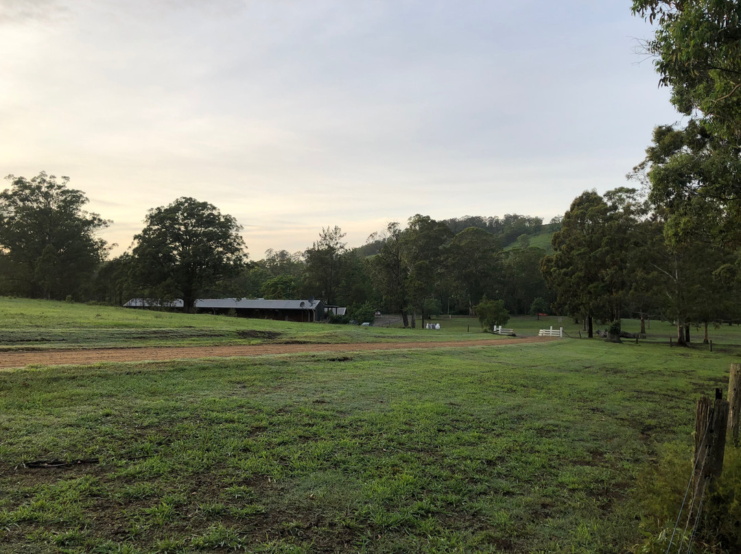 Riverwood Downs Mountain Valley Resort主图