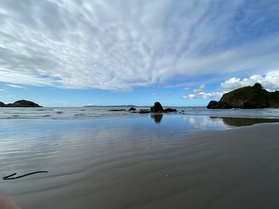 Islotes de Punihuil-奇洛埃岛必去景点