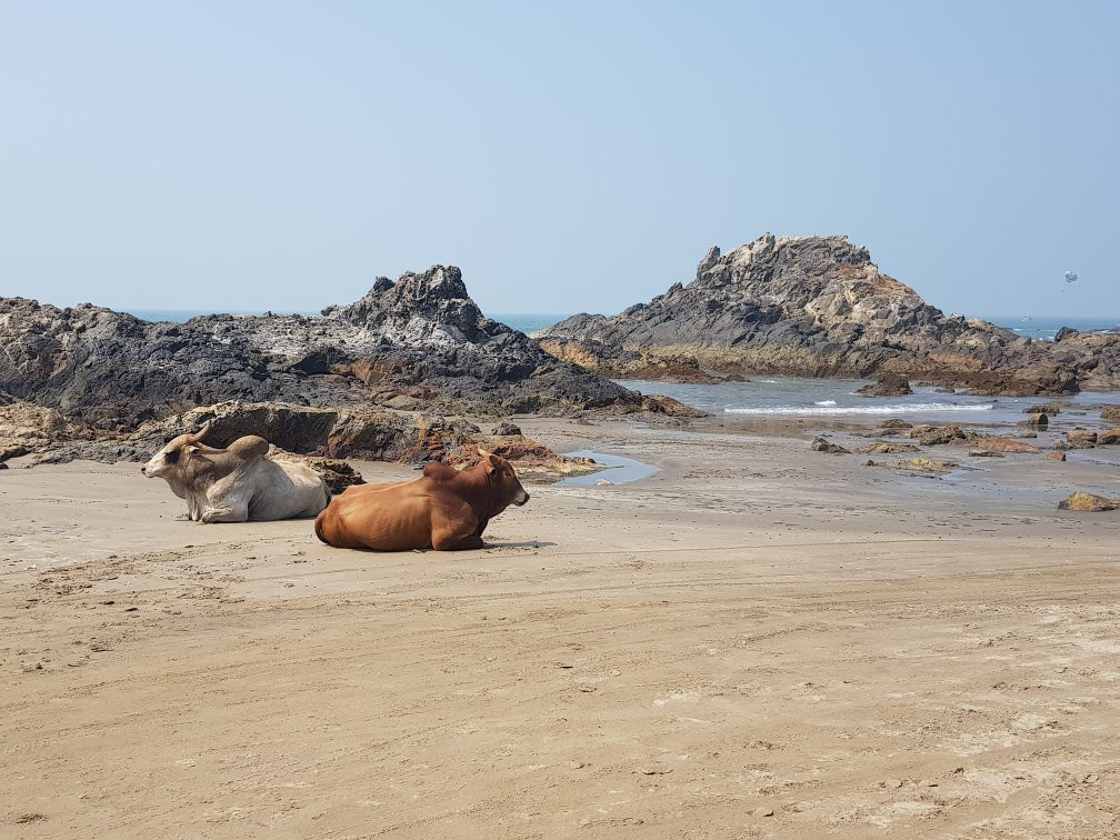 Chapora Beach景点图片