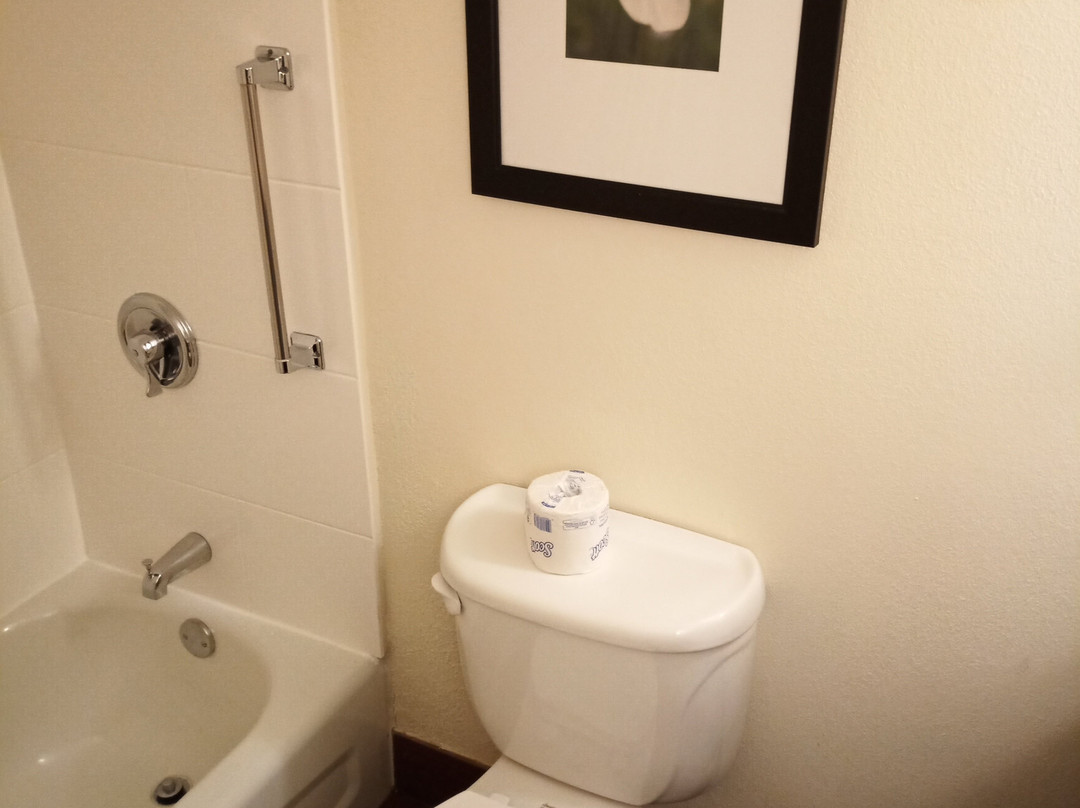 里奇蒙茵斯布鲁克希尔顿花园酒店主图