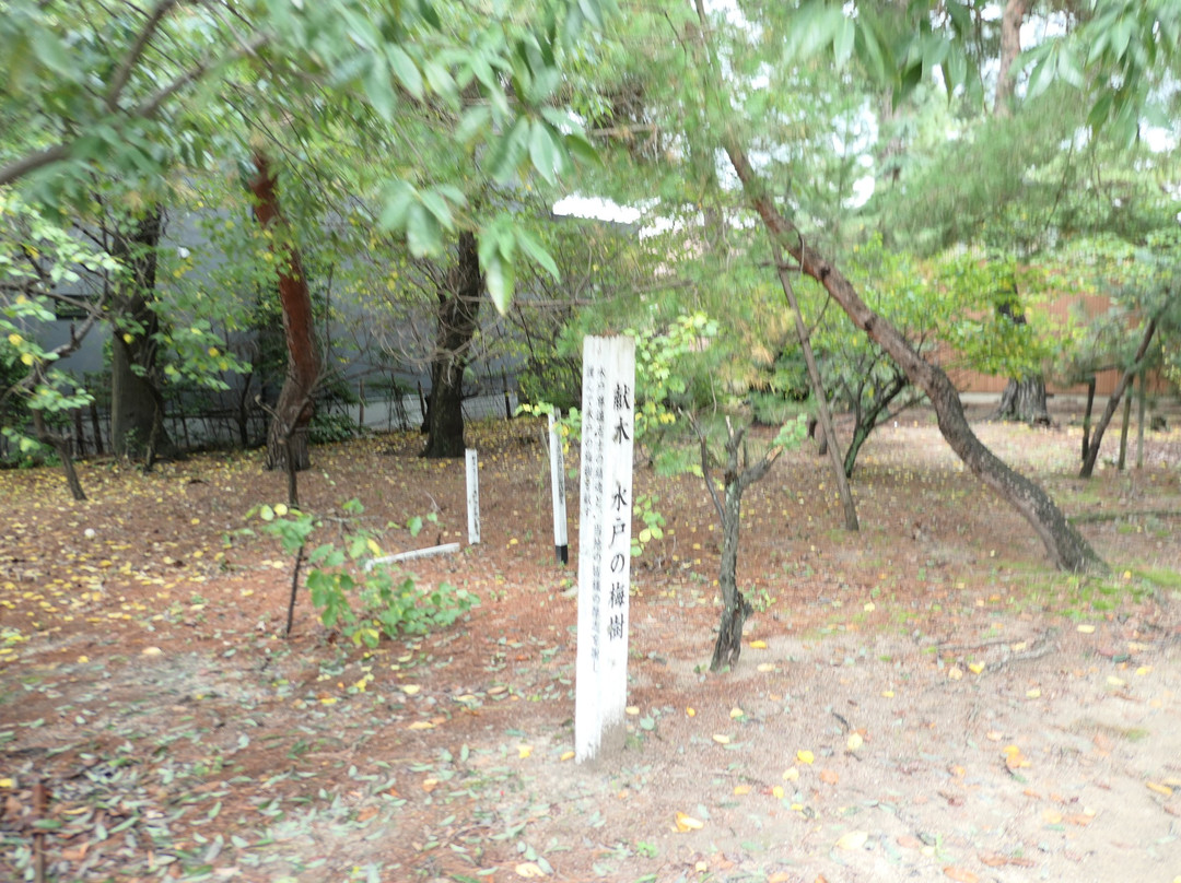 Matsubara Shrine景点图片