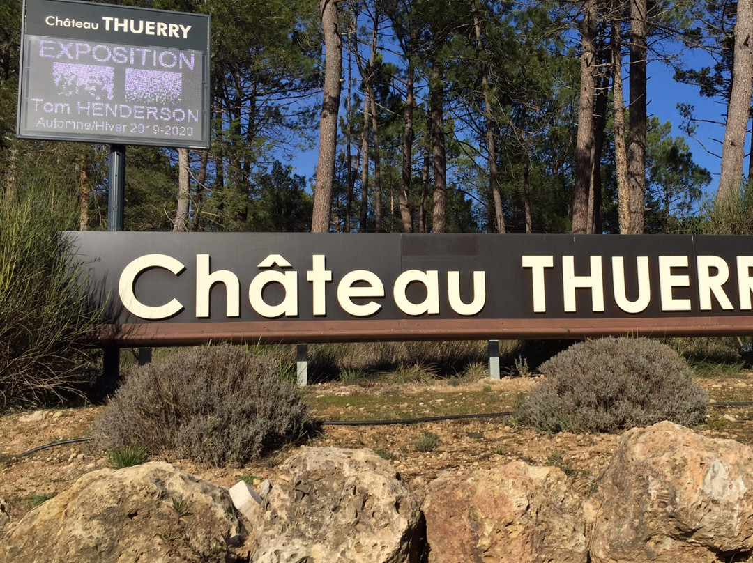 Château Thuerry景点图片