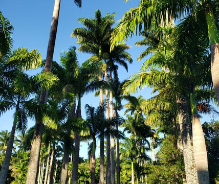 Fazenda do Paraizo-Rio das Flores必去景点