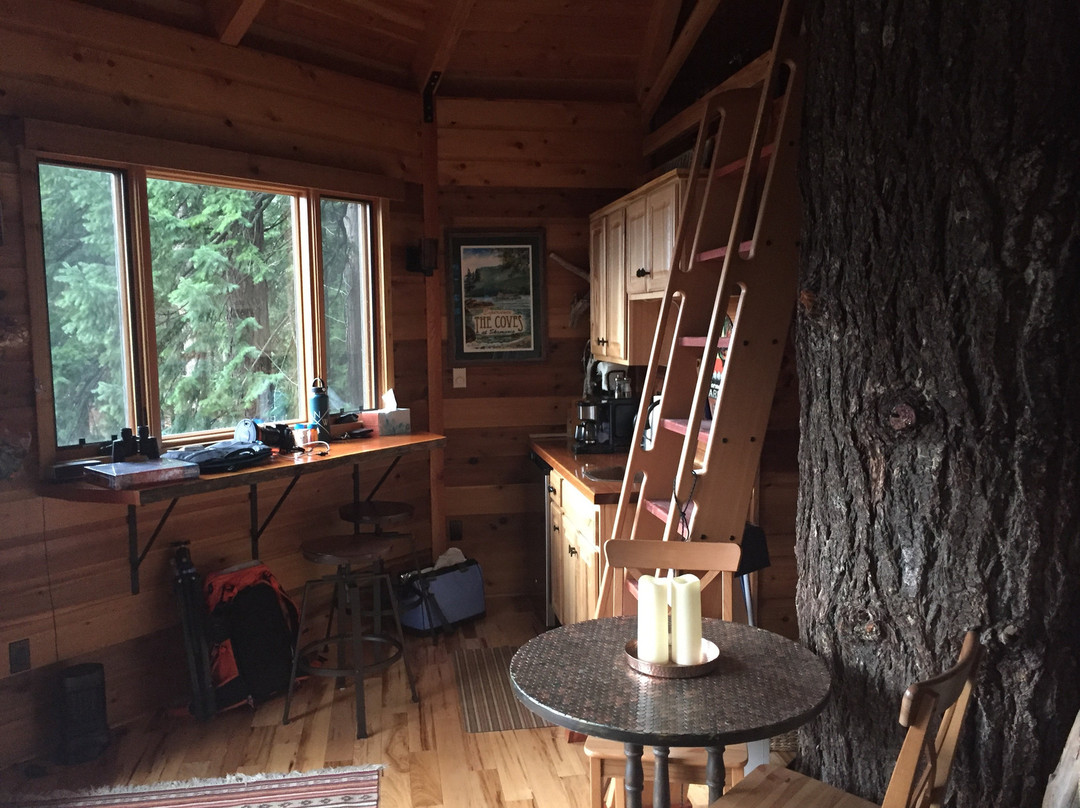 Skamania Coves Resort主图