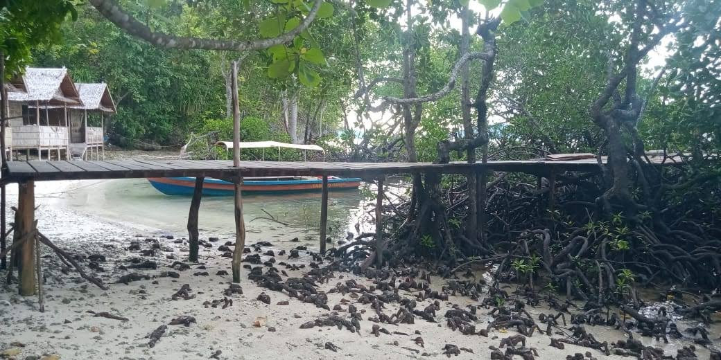 Daroyen Village主图