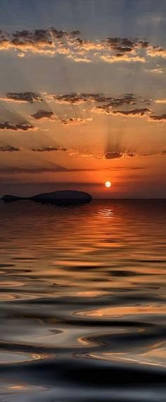 Medilla酒店住宿-Seagulls Beach & Garden Cabanas