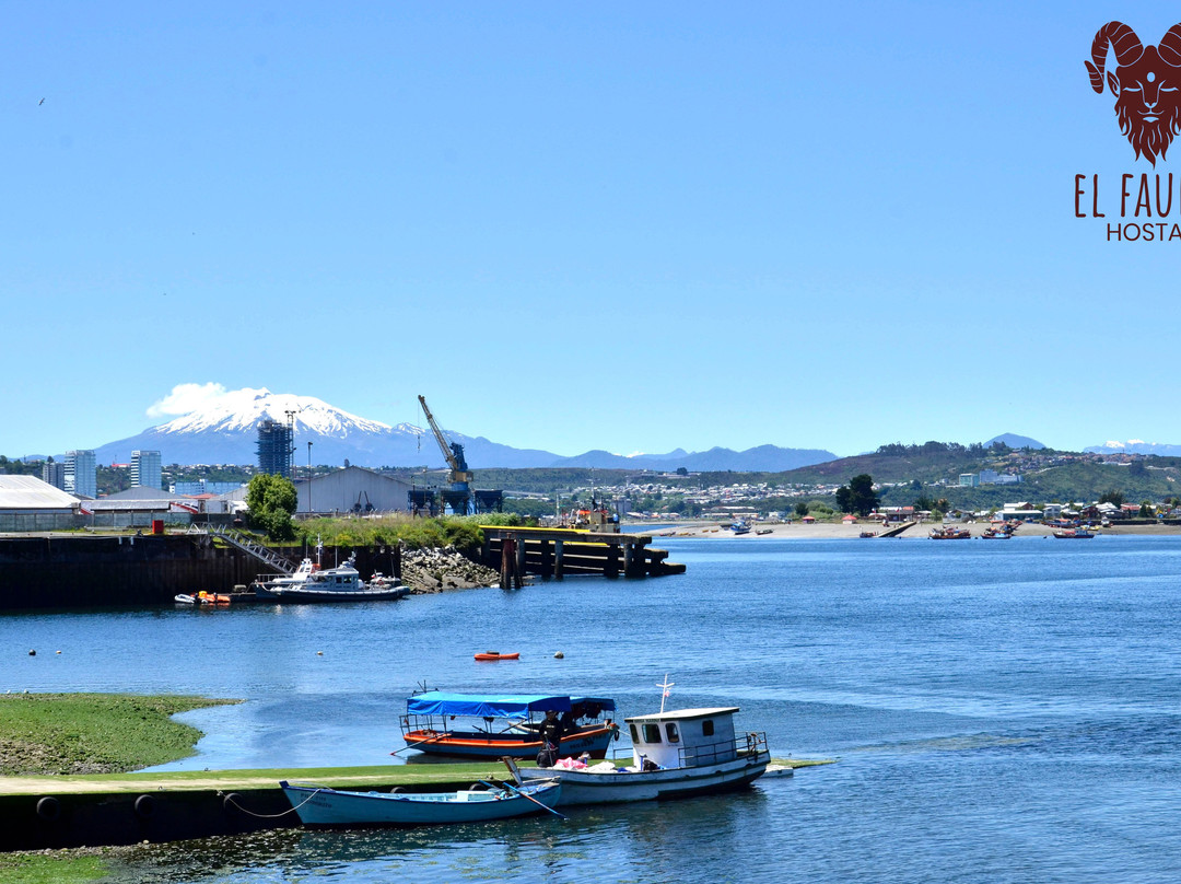 Hostal El Fauno主图