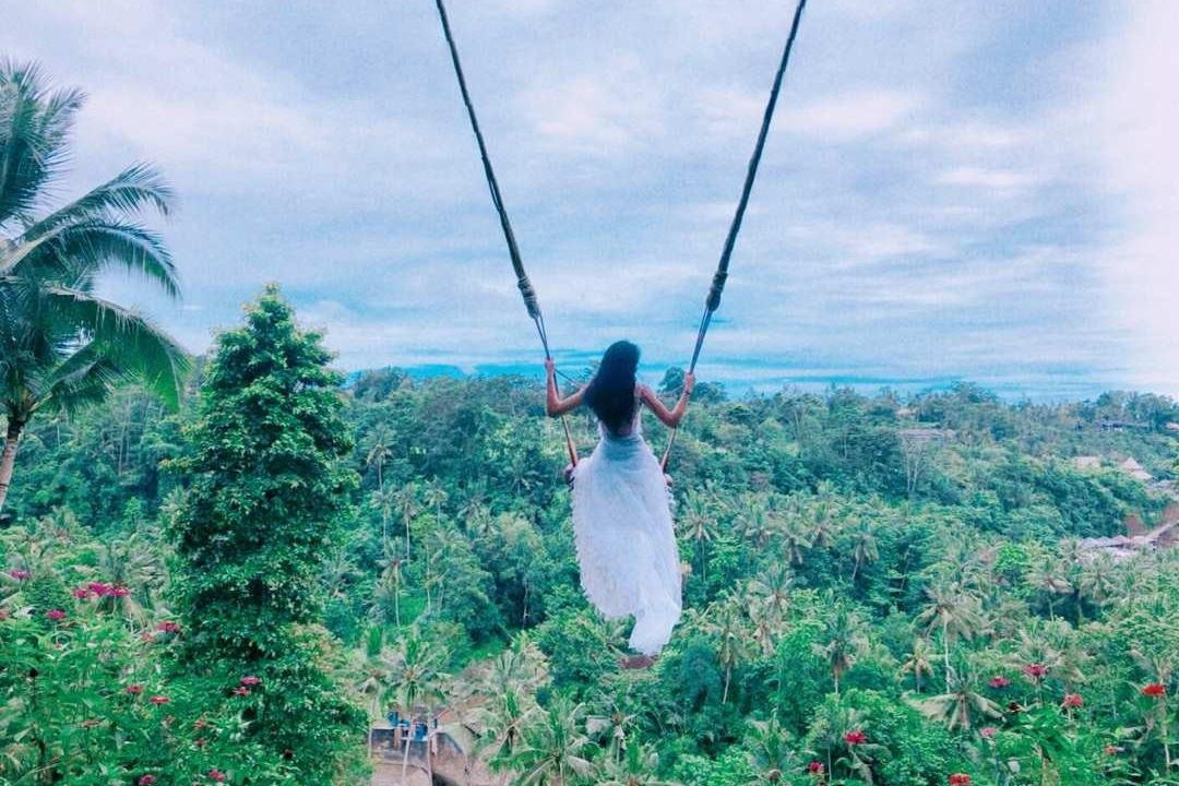 Tour Kiosk-乌布必去景点