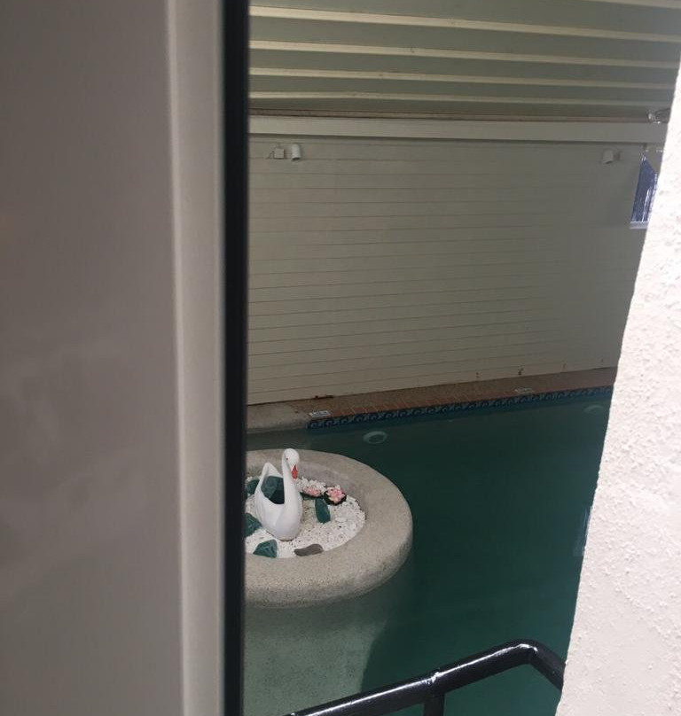 Kosmopolit Hotel主图