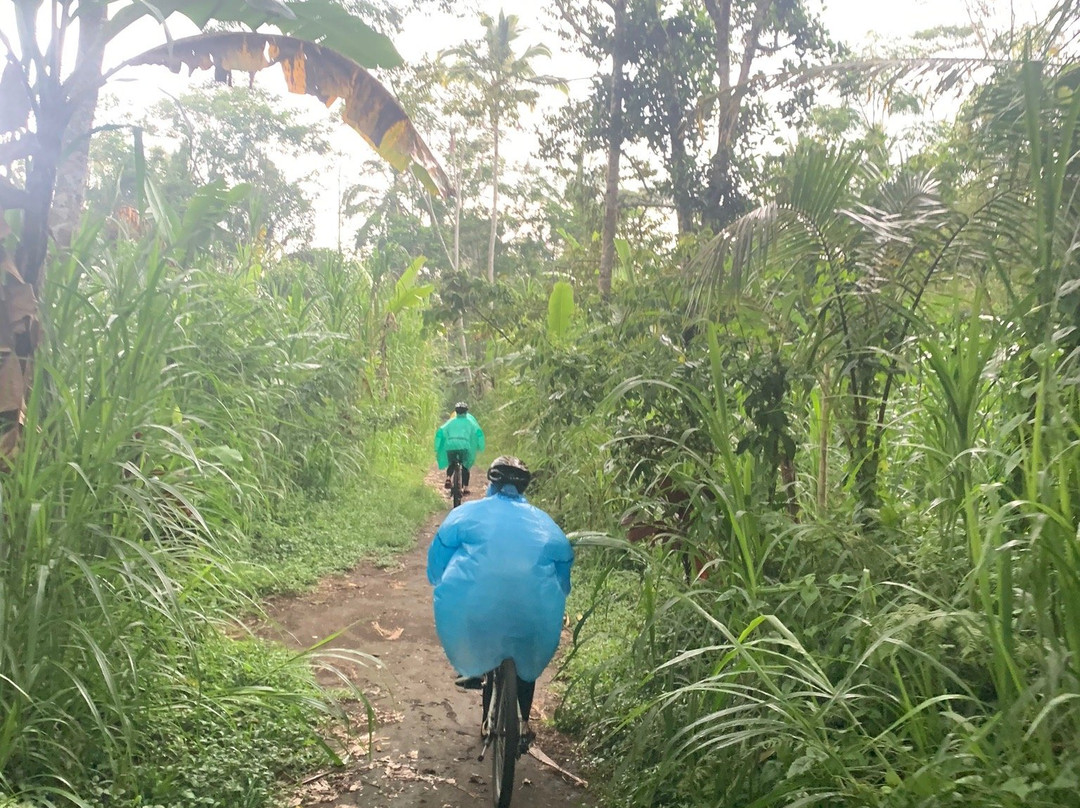 Bali Paradise Cycling Tours-佩艳艮必去景点