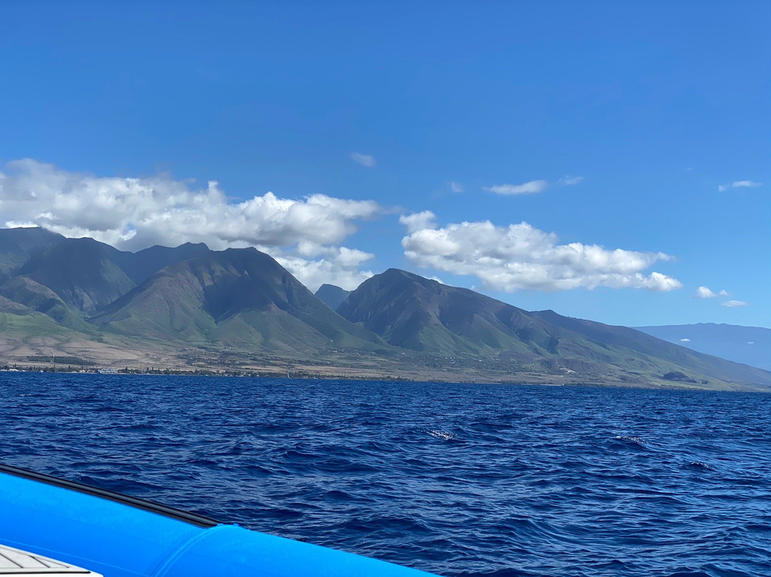 Blue Water Maui-拉海纳必去景点