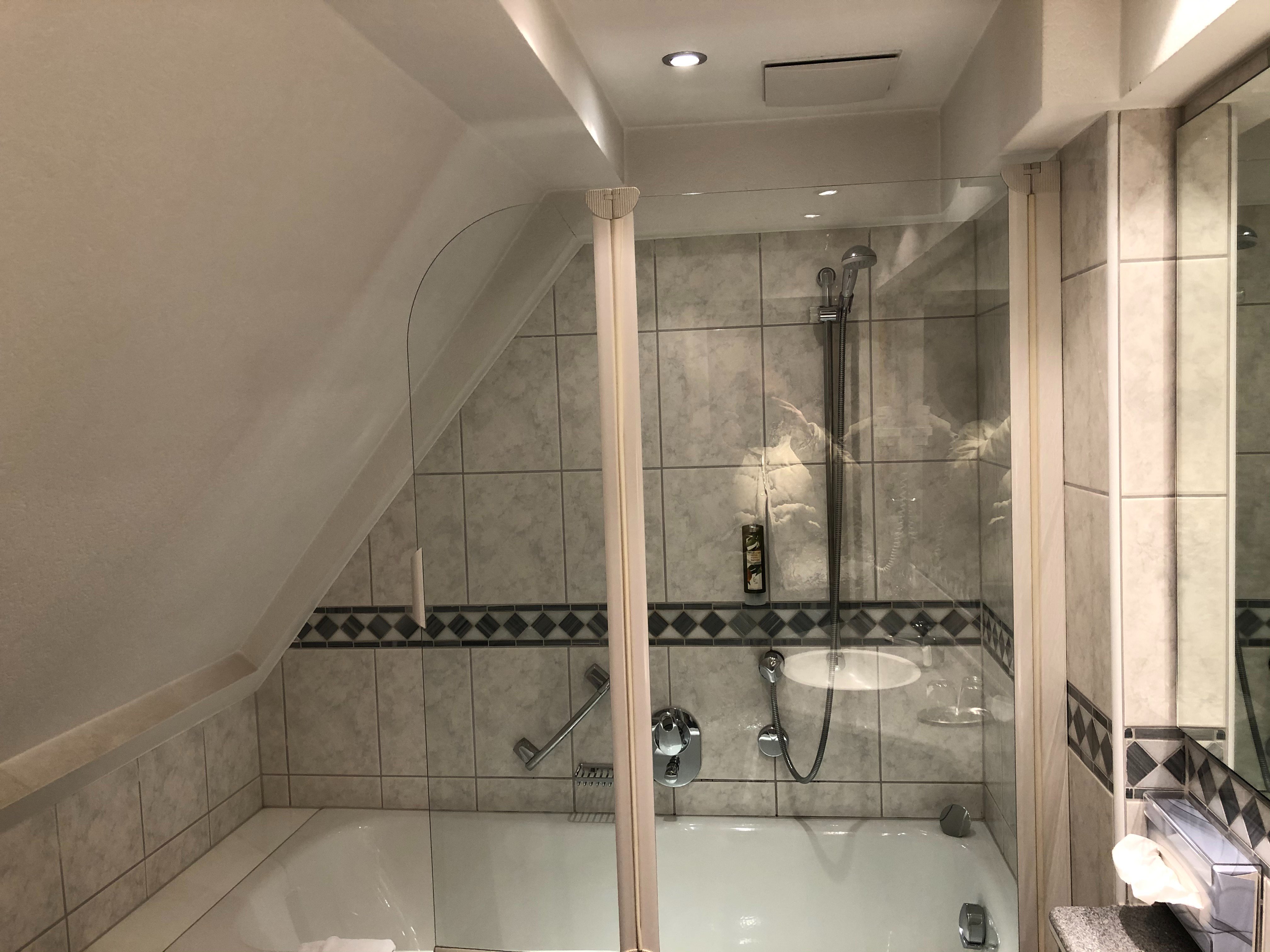 Hotel Eberbacher Hof-浴室