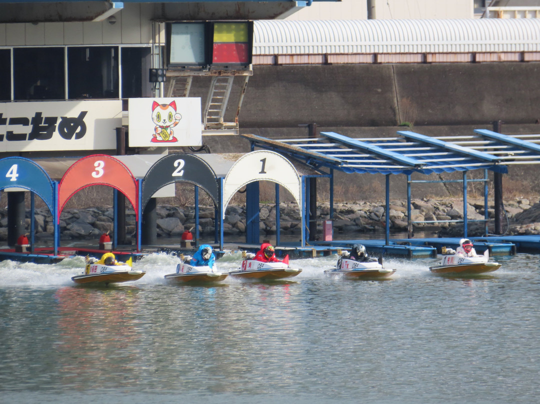 Boat Race Tokoname-常滑市必去景点