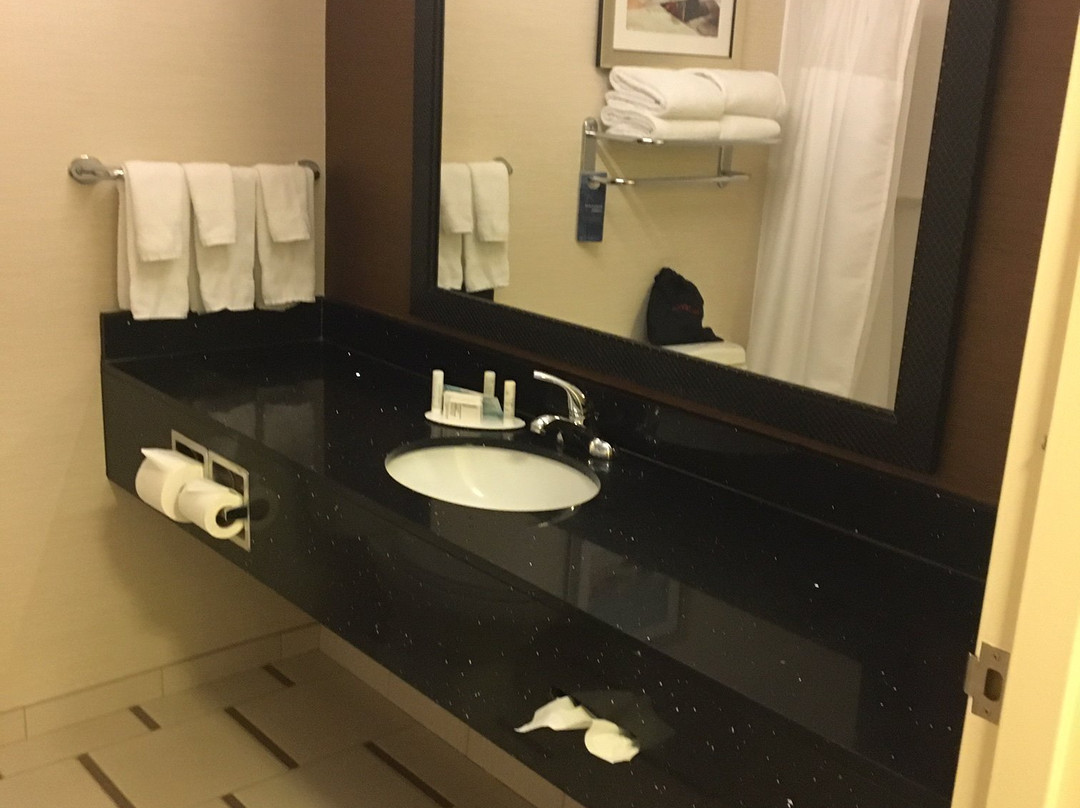 Fairfield by Marriott Inn & Suites Madison West/Middleton主图