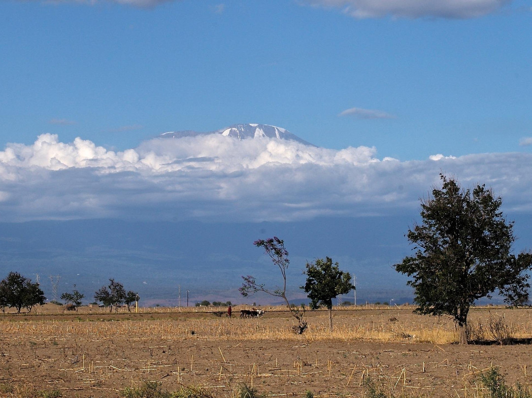 KILIMANJARO CLIMBING TOURS-Matemwe必去景点