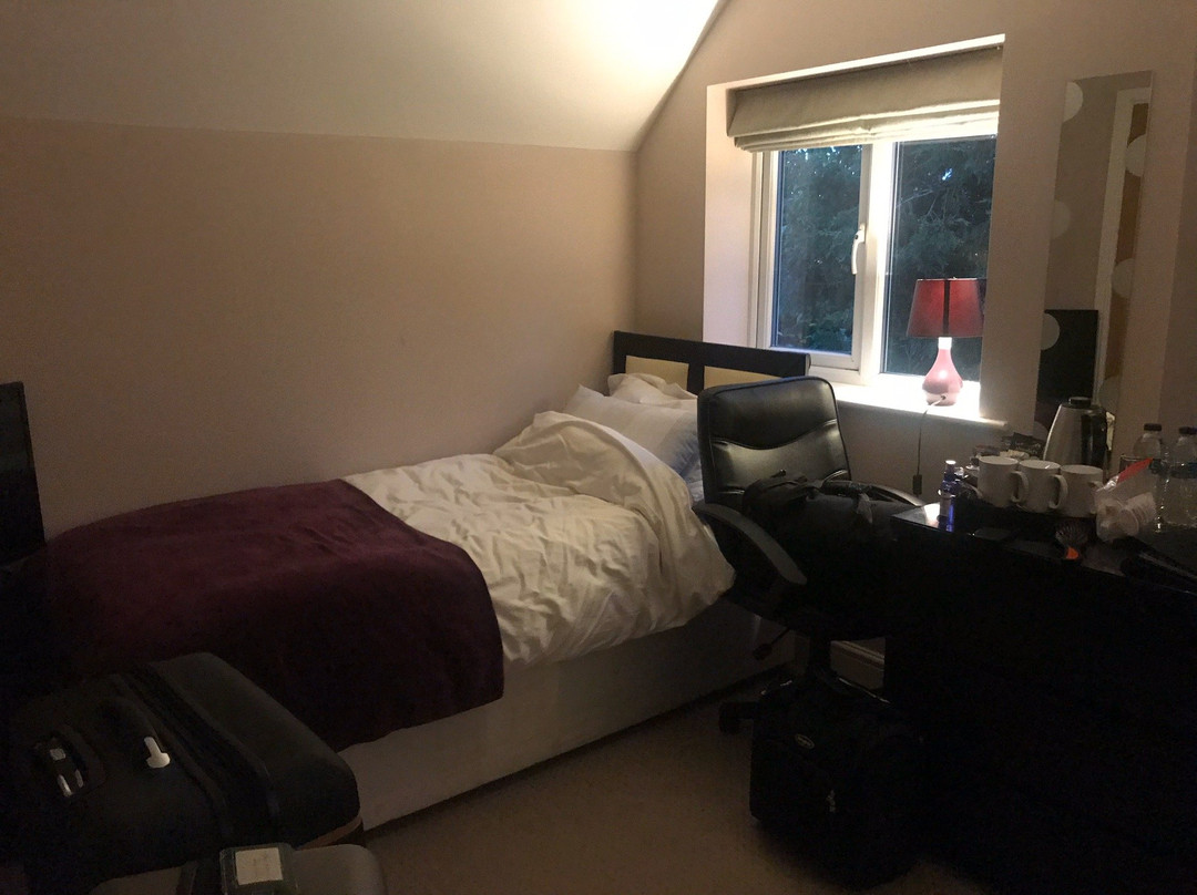 Dorwyn Manor B&B主图