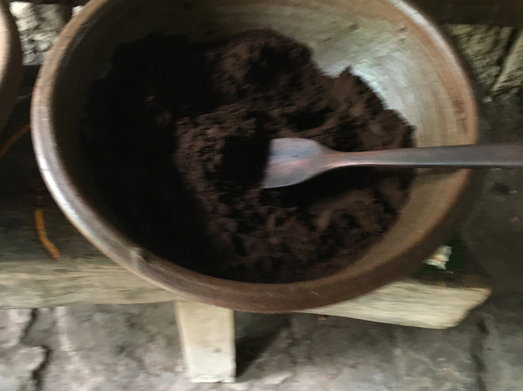 Bali Pulina Coffee Plantation-吉安雅必去景点