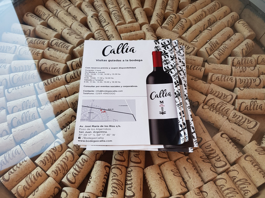Bodegas Callia景点图片