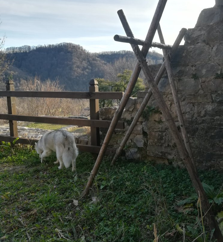 Castello Di Cergneu景点图片