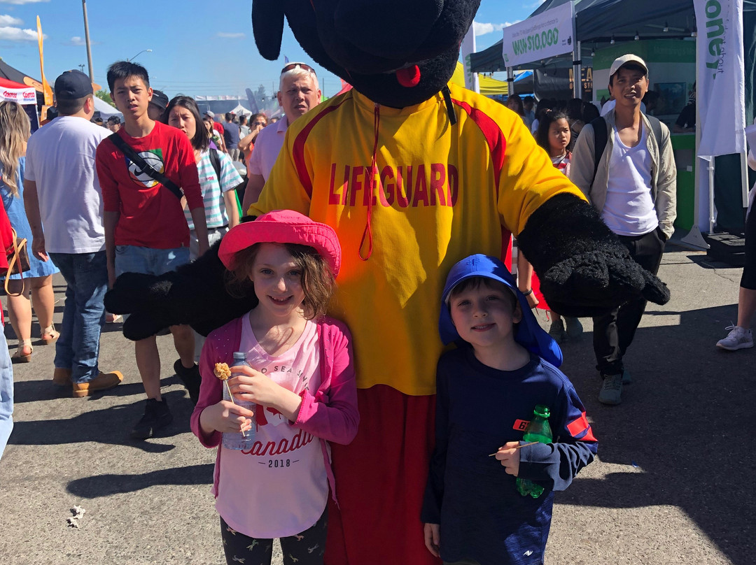 Taste of Asia Festival-万锦市必去景点