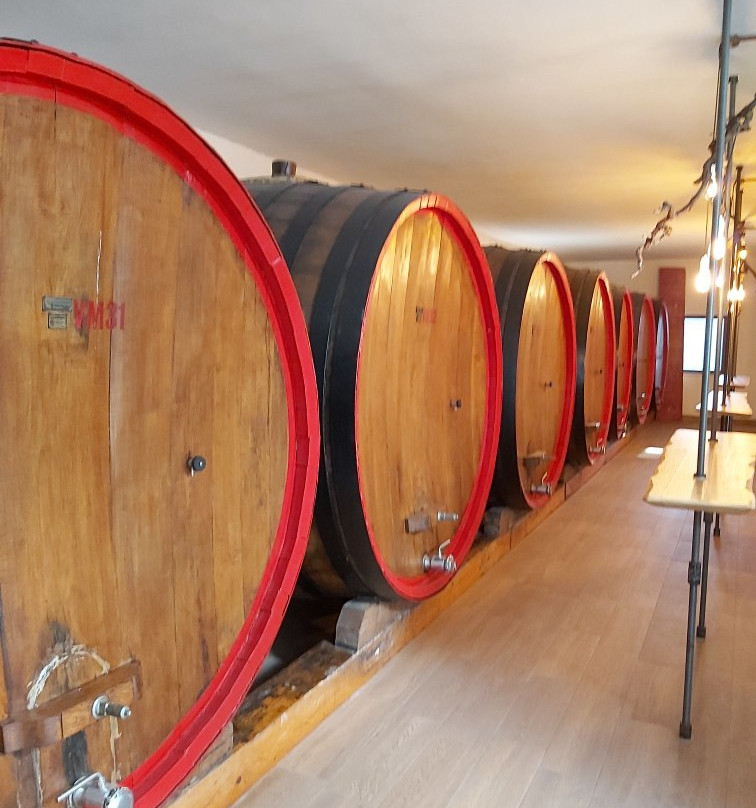 Casa Vinicola Coppi-Turi必去景点