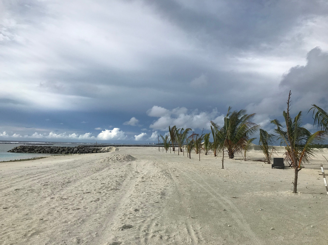 Beach Heaven Maldives - Golden Turtle Guest House主图