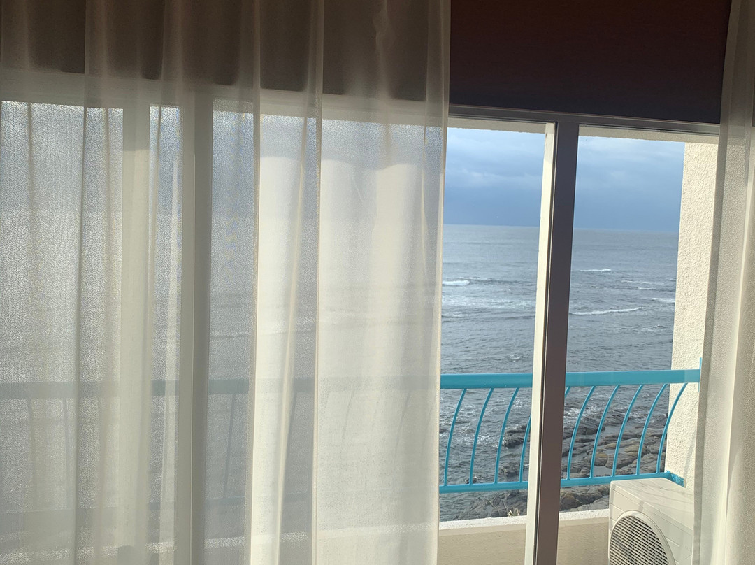 Hotel Green Plaza Kamogawa主图