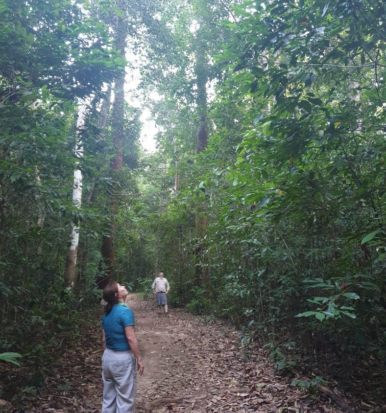 VietJeep Phu Quoc Tour-富国岛必去景点