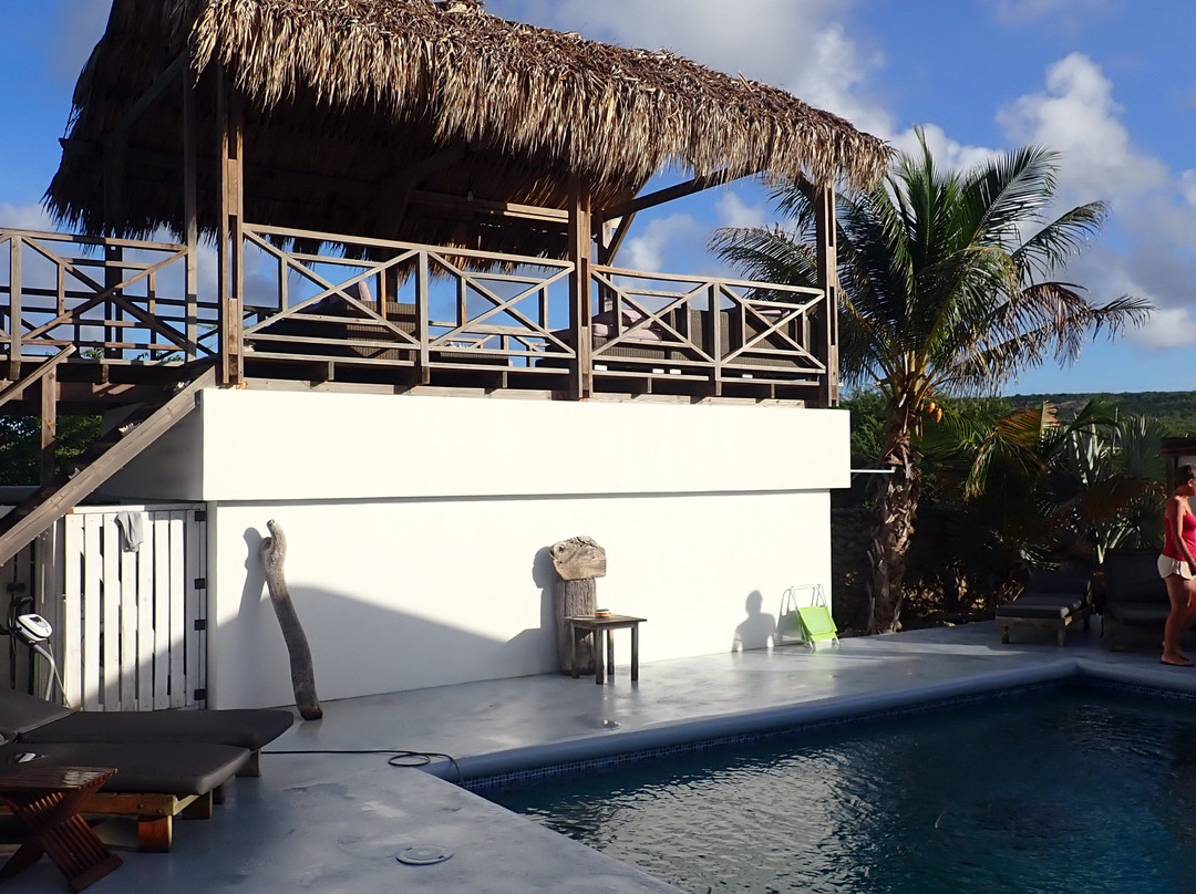 Hakuna Matata Bonaire - Beach & Diving主图