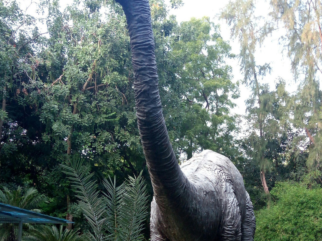 Indroda Nature Park景点图片
