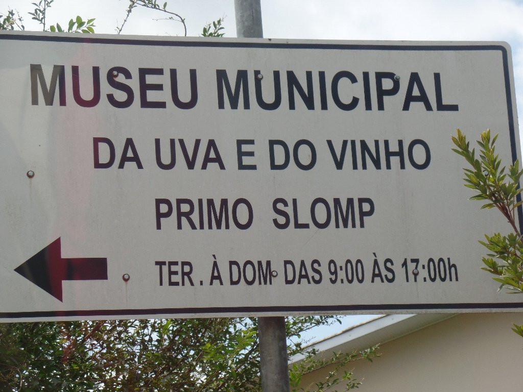 Museu da Uva e do Vinho景点图片