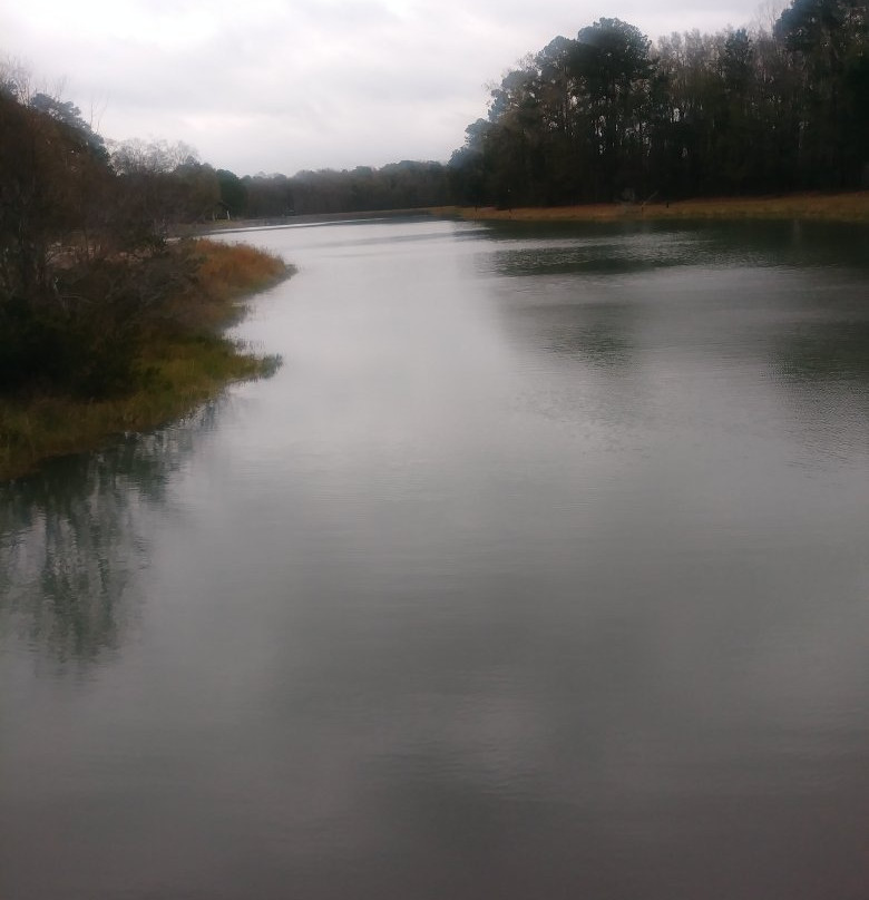 Tom Triplett Community Park-普勒必去景点