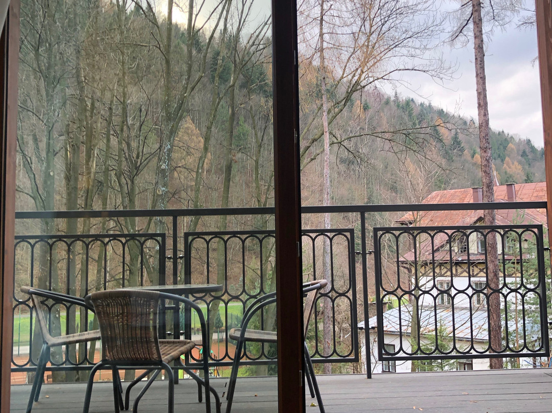 Szczawnica Park Resort & Spa主图