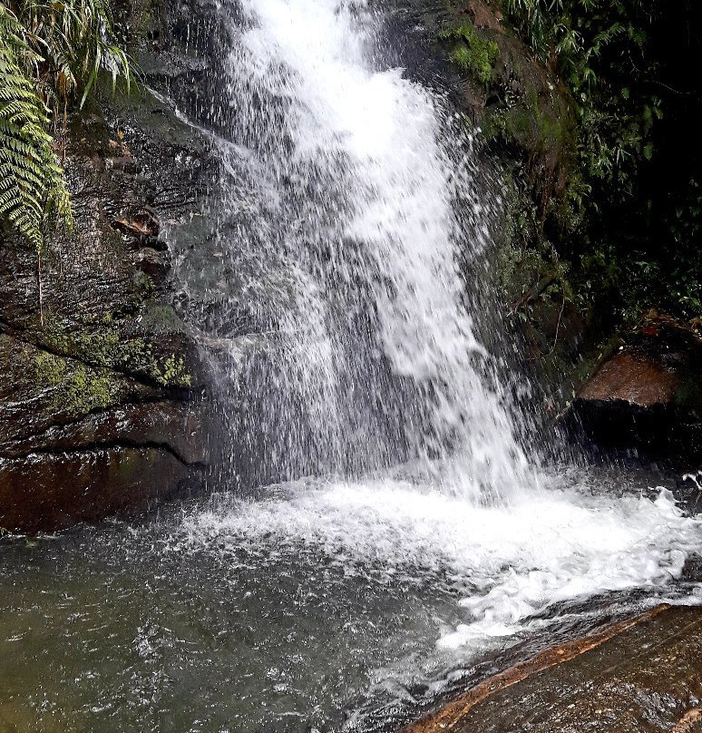 Cachoeira dos Macacos景点图片