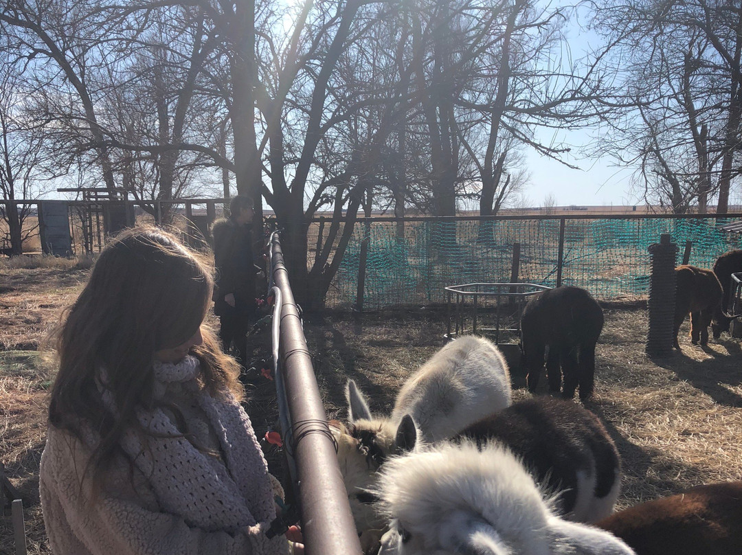 Heartland Farm-Pawnee Rock必去景点