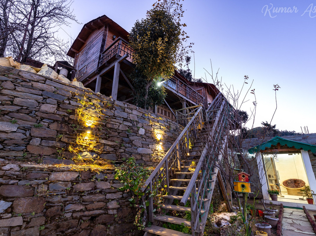 Treehouse Resort主图