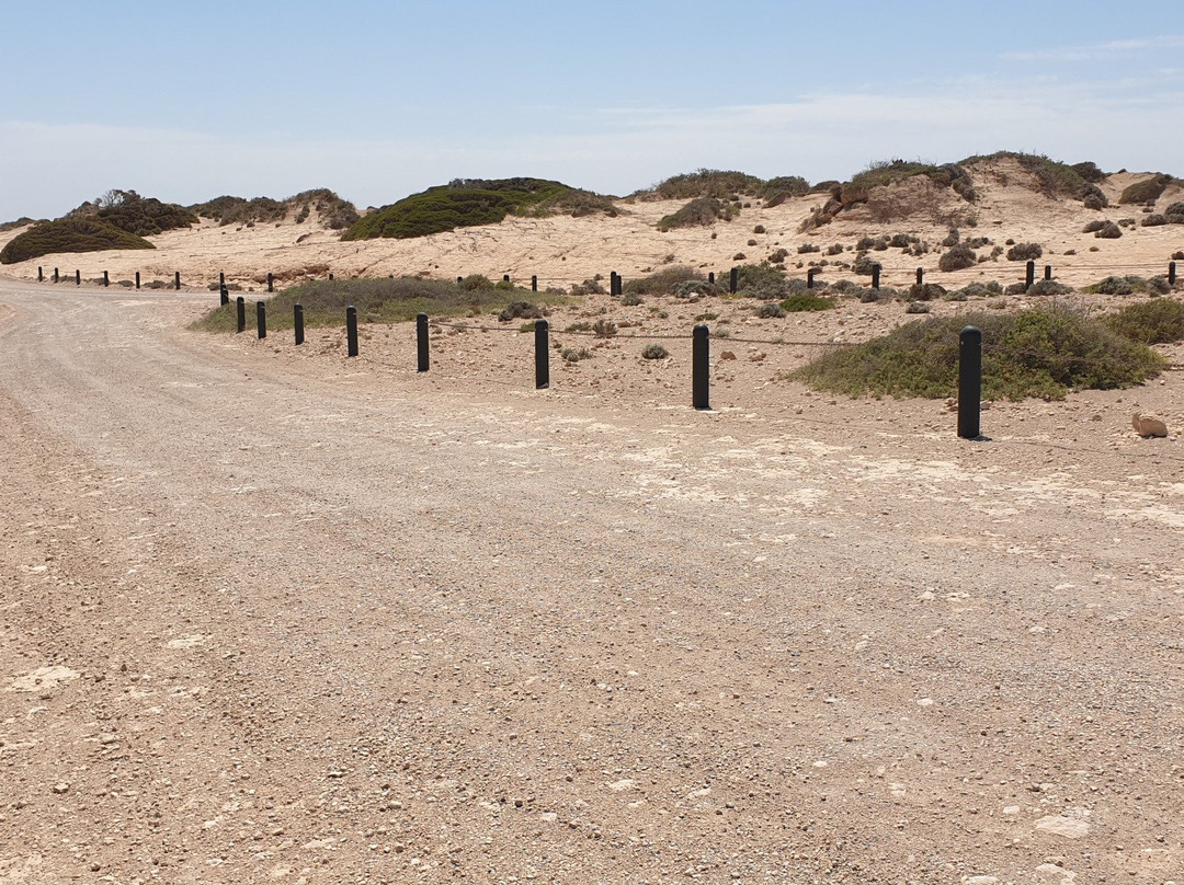 Point Labatt Conservation Park-Streaky Bay必去景点
