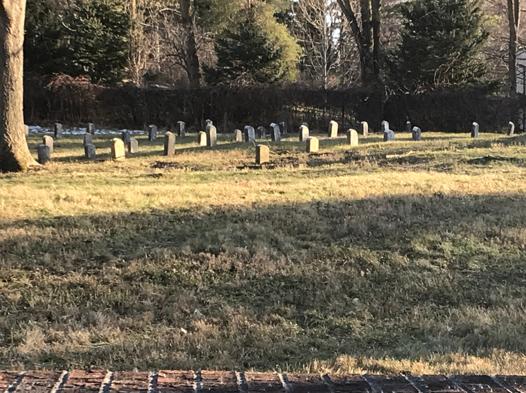 Ingham County Home Cemetery景点图片