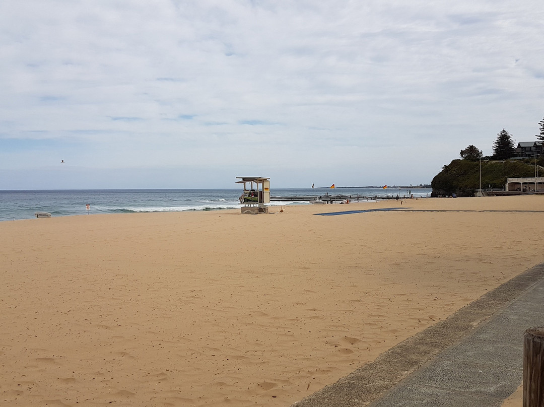 Austinmer Beach-卧龙岗市必去景点