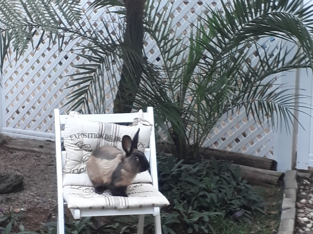 Umuzi Guesthouse主图