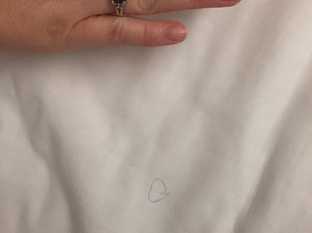 Microtel Inn & Suites by Wyndham Tuscaloosa Near University主图