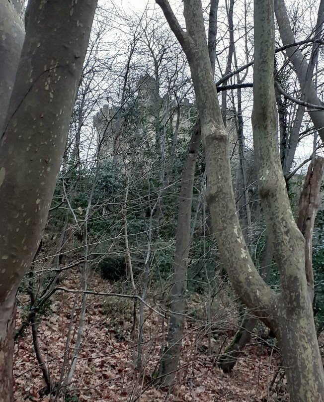 Hotel de France主图