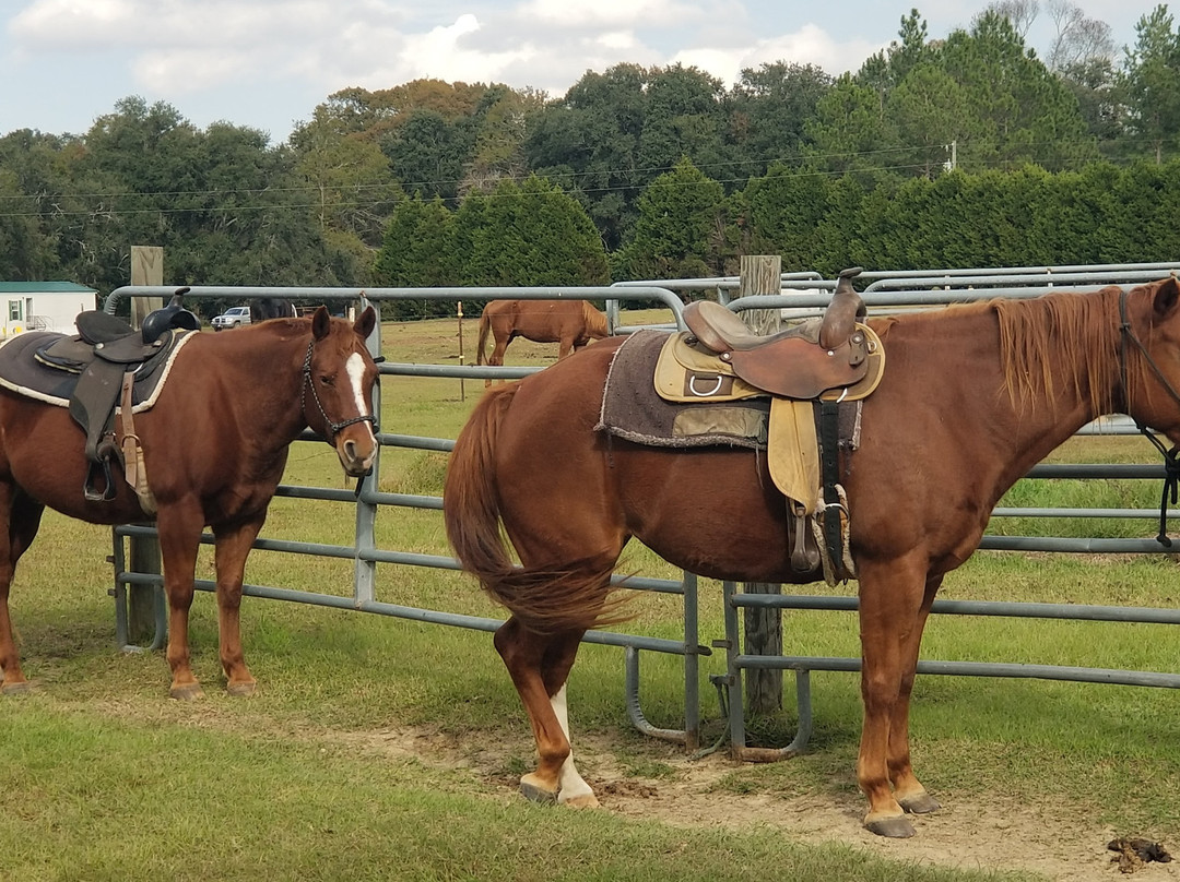 Rockin n Stables-Pelham必去景点