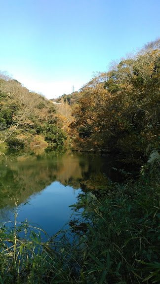 Hisagioike Park景点图片