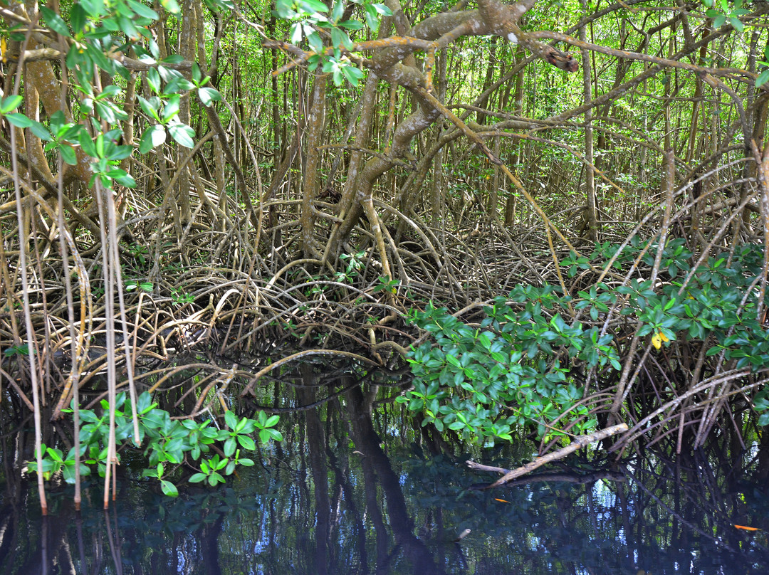 Polo evasion-Ducos必去景点