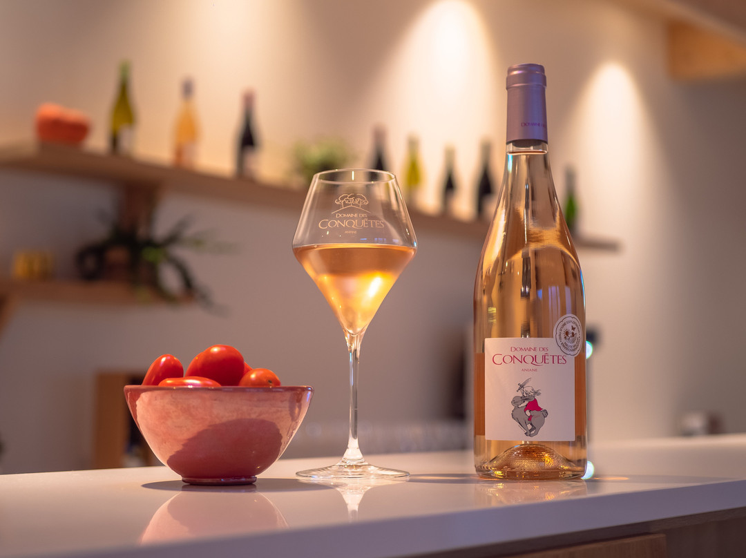 Domaine des Conquêtes-Aniane必去景点