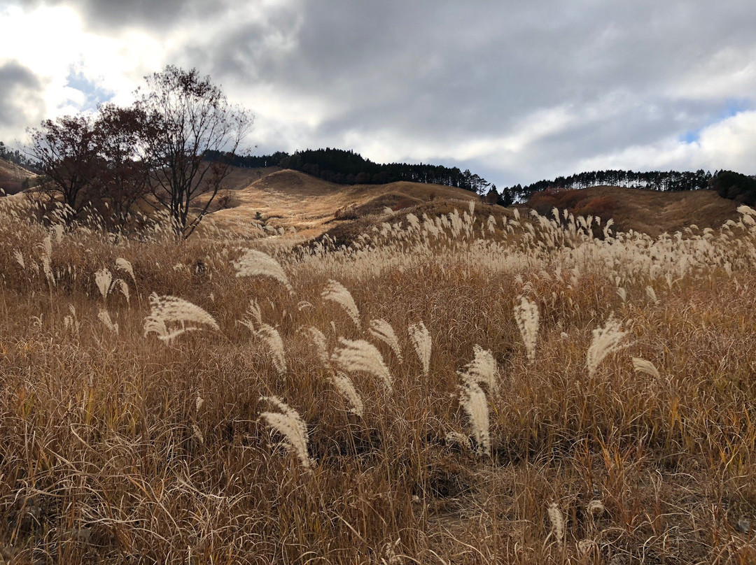 Toniomine Plateau-神河町必去景点
